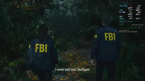 Alan Wake 2 -- Linux Bechmark -- VKD3D-Proton -- OBS Capture Version