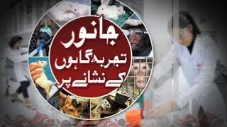 Dunya News-World Day for Laboratory Animals