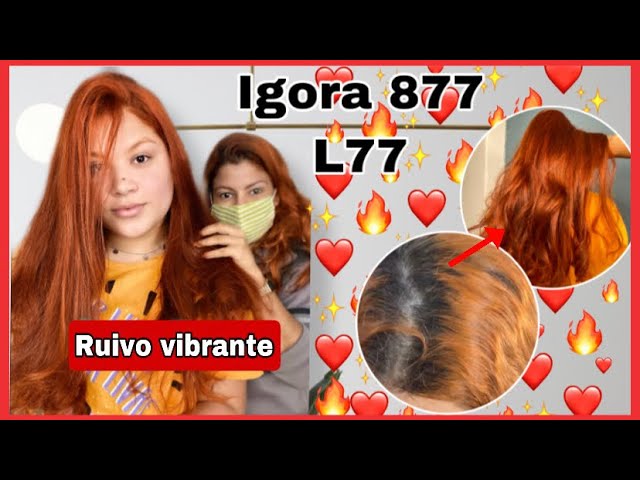 Pintei o cabelo INTEIRO com a IGORA 8.77 + Tirando a descoloração global do  cabelo 