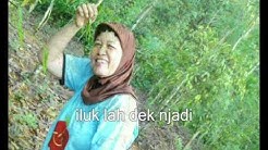 MIANG HEBUNG - ARMADI RAGA  - Durasi: 5:27. 