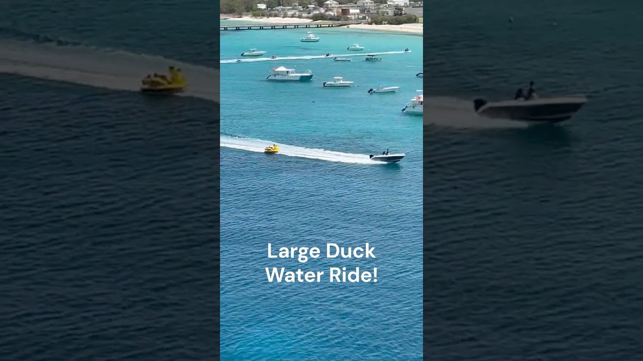 Would You Ride This Giant Duck in Grand Turk?