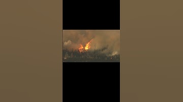 Google’s FireSat AI Satellite That Detects Wildfires in Minutes