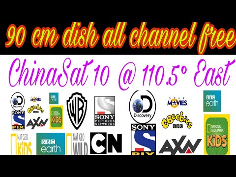 90 cm dish#110