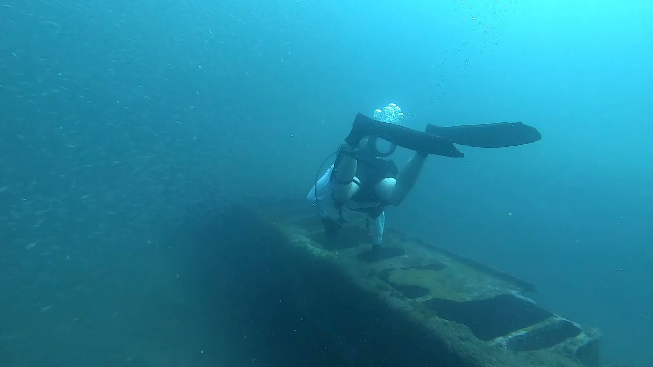 Miss Louise Wreck Florida Panhandle Waterproof Dive Card: Reef