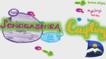 Sonogashira Reaction | Coupling to Alkyne with Aryl | CuI