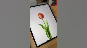 How to draw a watercolor flower in Procreate #procreatebrushes #procreate