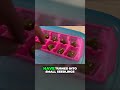 Hydroponic seed starting
