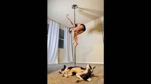 Brass Monkey Palooza Pole Combo