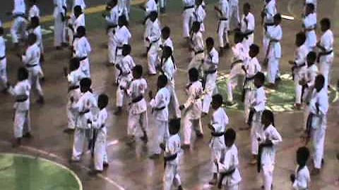 Hanshi Dennis May Teaching Colt Students 2011