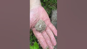 Bushcraft survival: How to make fire when camping alone #survival #outdoors #bushcraft #camping