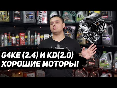 G4ke (2.4) и KD (2.0) ХОРОШИЙ ДВИГАТЕЛЬ, какие проблемы с мотором?!