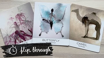 Nature & Soul Yoga Wisdom Cards Flip Through