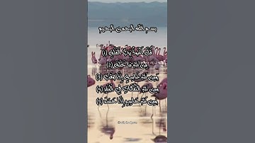 قل أعوذ برب الفلق #سورةالفلق #الرقية_الشرعية #الرقية #المعوذات #ruqiyah #ruqyah