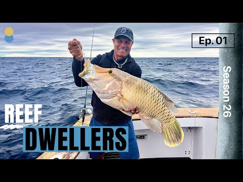 Reef Fish Dwellers: Et takes on a mix of hard fighting reef fish!