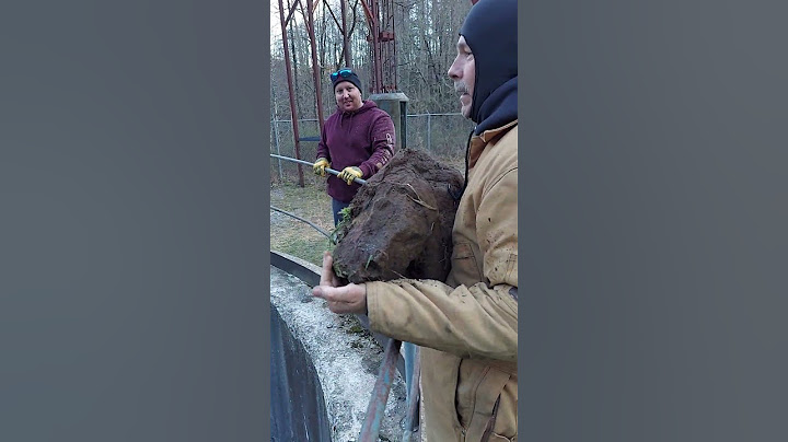 Dropping a Rock Down an Abandoned Coal Mine Shaft || ViralHog