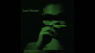 Joji : Lost Nectar - ( FTC )