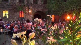 Sommerkino Bamberg 2015 1080i