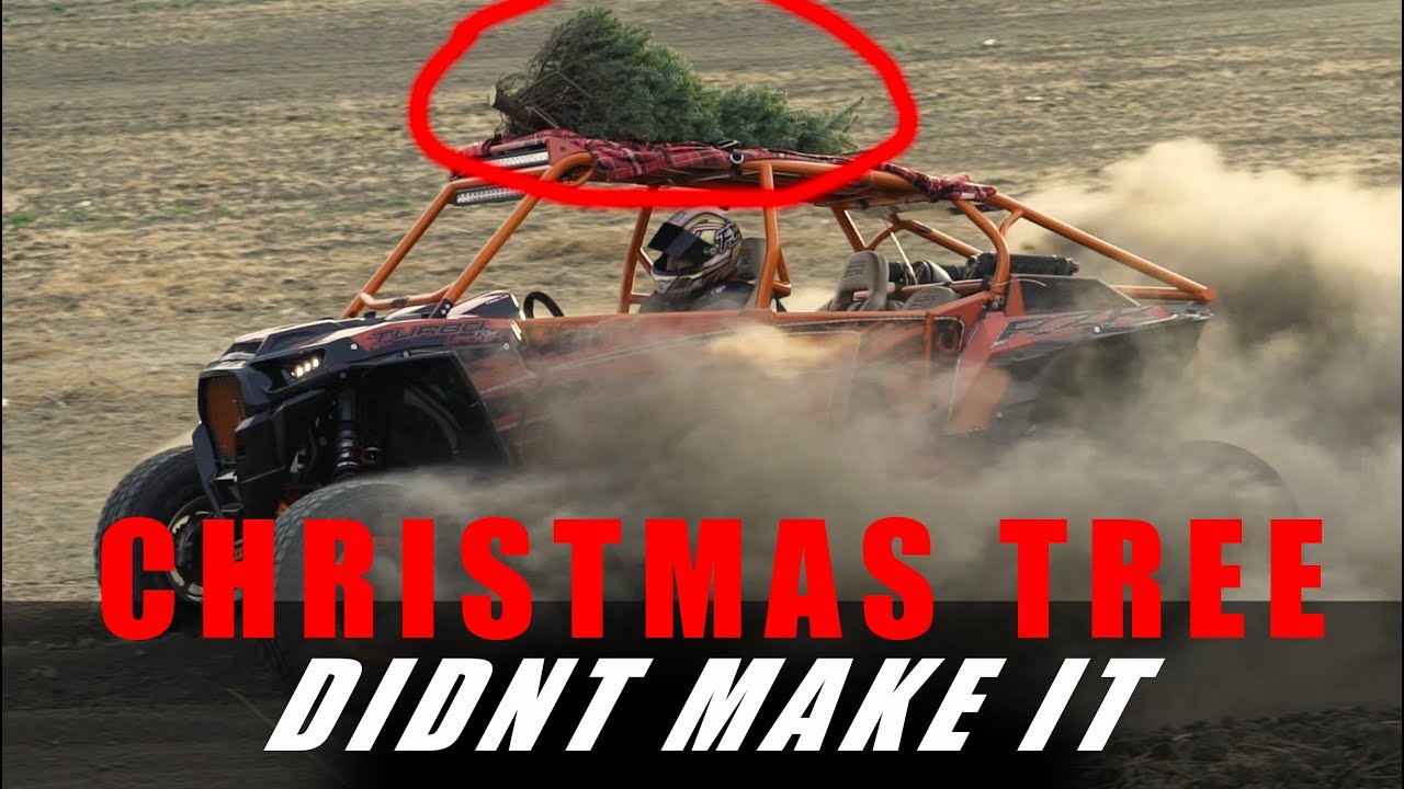 Christmas Tree Pick Up in the RZR with Proline Wraps - YouTube