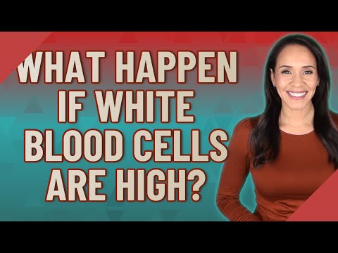 What happen if white blood cells are high?
