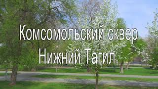 Нижний Тагил. Комсомольский сквер, зацвели яблони. 6 05 2023