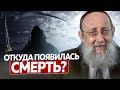 Откуда появилась смерть? Рав Ашер Кушнир