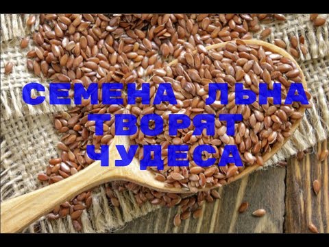 семена льна творят