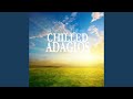 Adagio in G Minor for Strings and Organ