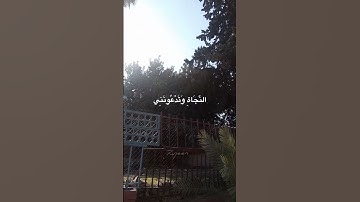 وَيَا قَوْمِ مَا لِي أَدْعُوكُمْ إِلَى النَّجَاةِ وَتَدْعُونَنِي إِلَى النَّارِ 🤍 #قرآن #سورة_غافر