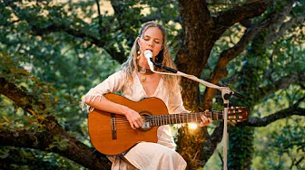 Forest Dreaming - 1 hour Healing Angelic Music - Ground Yourself in Peace