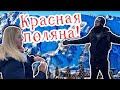 Красная Поляна. Обзорная прогулка. Погода 13.02.2022