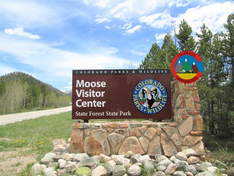 State Forest State