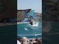 4 orques sautant ensemble  seaworld californie