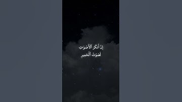 * سورة لقمان * القارئ : ياسر الدوسري * Surah luqman* Reader : Yasser Al-Dosari