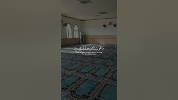 الأية 82 من سورة الإسراء 🎧