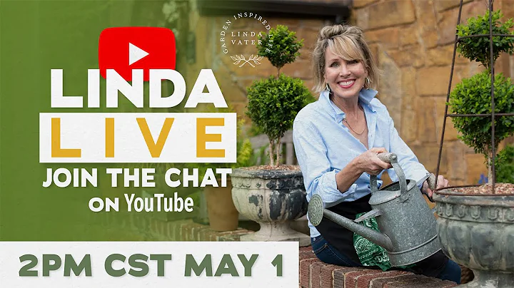 LV Live! || Chat with Linda Vater!