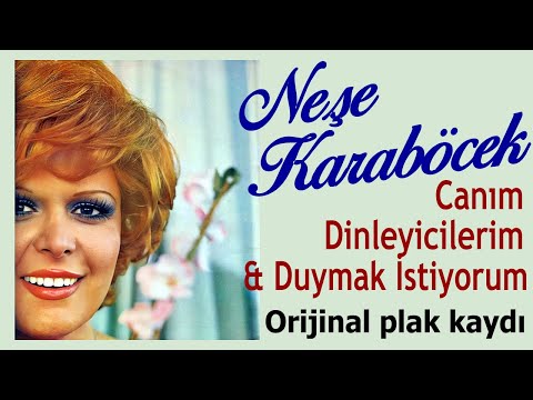 Neşe Karaböcek - Canım Dinleyicilerim & Duymak İstiyorum (1981) orijinal plak kaydı