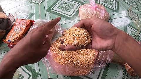 Mồi câu cá  trôi, chép, trắm, rô phi | Mồi Ngũ Cốc, Hiệu Quả - Dễ Làm #115