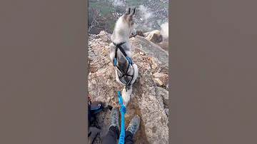 Do You Have Vertigo 