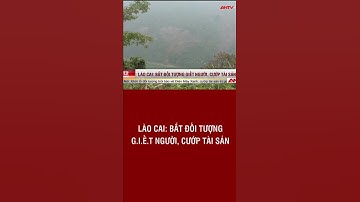 Hành Trình Truy Bắt Giữ Đối Tượng Giết Người, Cướp Tài Sản Sau 10 Giờ Gây Án | Tin Tức 24h #shorts