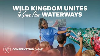 Wild Kingdom Unites to Save Our Waterways