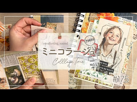 コラージュシート・メモのまとめ売り wrappingclub1_4580364472133