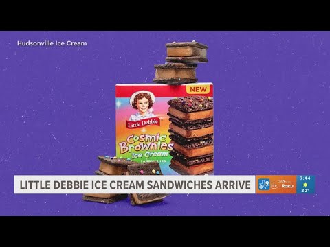 Little Debbie Zebra Cake Ice Cream Sandwiches