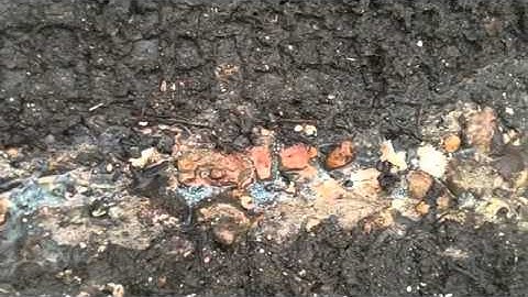 Shot Fall Test Irrelevant