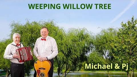 WEEPING WILLOW TREE - COUNTRY - IRISH - FOLK - BALLAD - MICHAEL & PJ - CELTIC MUSIC IRELAND