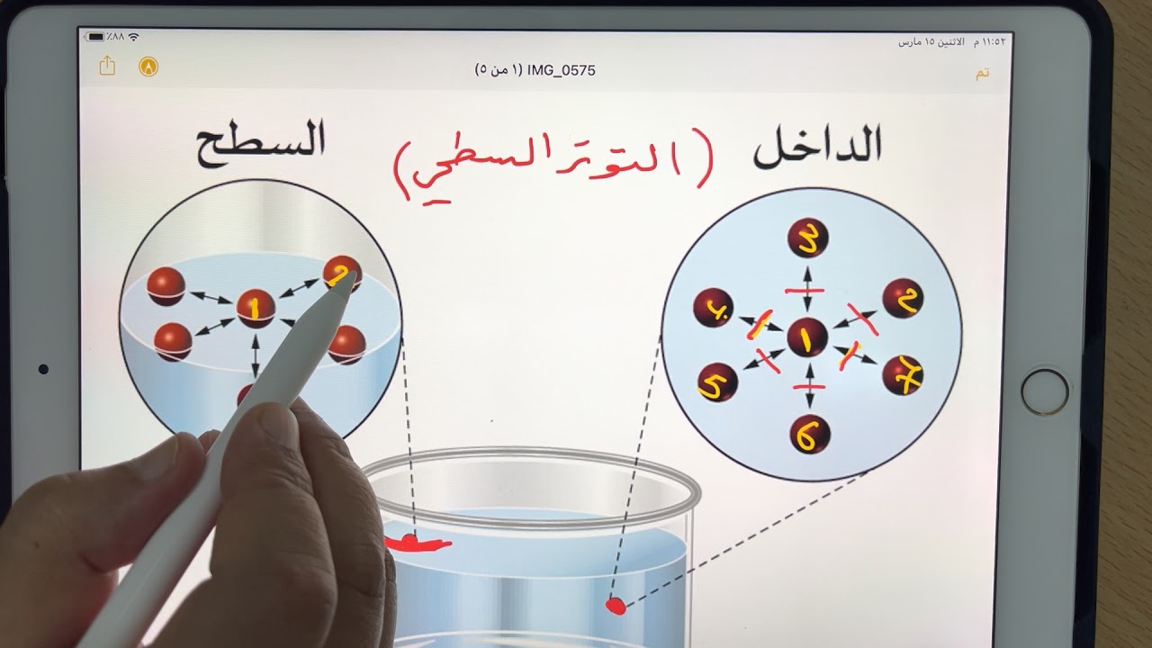 القوى داخل السوائل شرح ( قوى التماسك ) وظاهرة التوتر السطحي