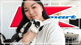 Affordable Bunny Starter Kit From Kmart