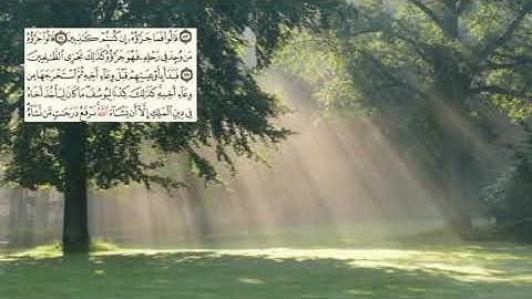 صفحة-244- page سعد الغامدي - -سورة يوسف -Joseph (Yusuf)12