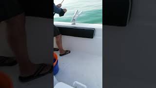 رحلات صيد في رأس الخيمة fishing trip in ras Al khaimah with cap Aziz +971502770318