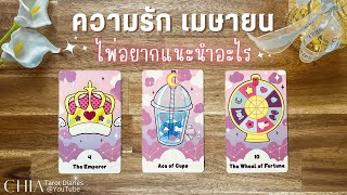 Pick a card ความรัก เมษายน ไพ่อยากแนะนำอะไร