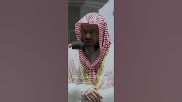 سعود الشريم-سورة القصص